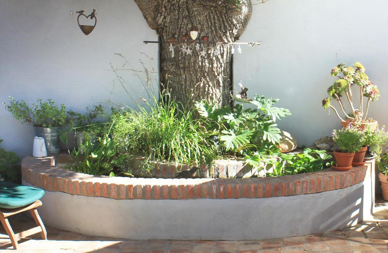Himmelblau Boutique Bed And Breakfast Ciudad del Cabo Exterior foto